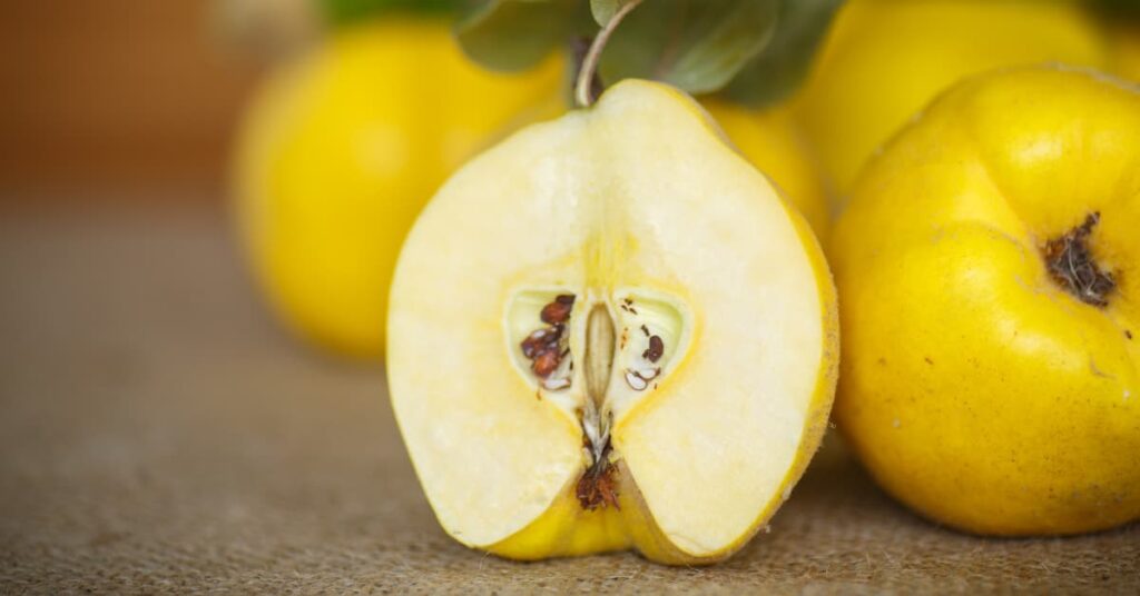 Por qué la carne de membrillo artesanal sabe diferente: el secreto está en la tradición 3 11 membrillos frescos